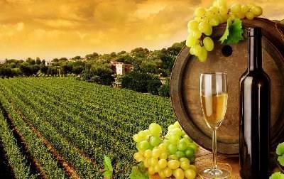 EUA já são o maior destino de exportação dos Vinhos de Lisboa