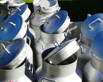 EuroDairy: a nova rede europeia para o progresso do setor do leite