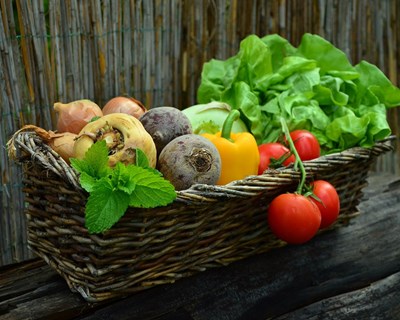 Eurodeputada considera que momento atual reforça a necessidade de autonomia alimentar na Europa