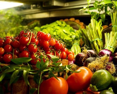 Eurostat promove webinar sobre desempenho do setor agrícola na Europa