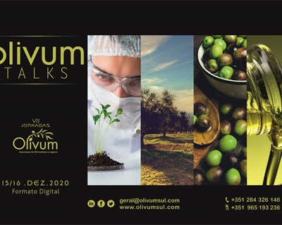 Evento anual da Olivum acontece em dezembro