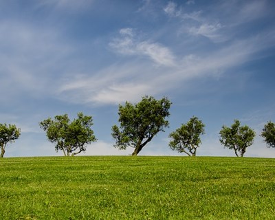 Evento “Crédito Agrícola” com Pegada de Carbono Neutra