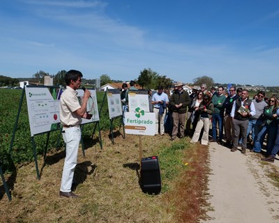 Evento destaca impacto positivo das interculturas para o milho e culturas horto-industriais
