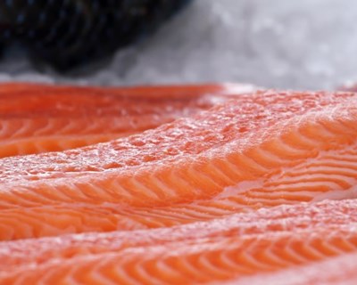 Evento Peixe em Lisboa procura organizador para 2020-2022