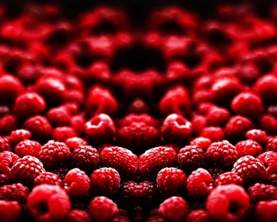 Évora debate produção de pequenos frutos