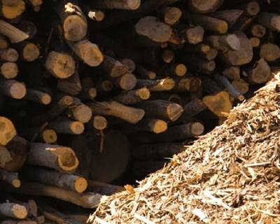 Expobiomassa 2017 chega em setembro a Valladolid