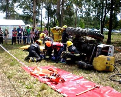 Expoflorestal 2015: certame recebeu 35 mil visitantes