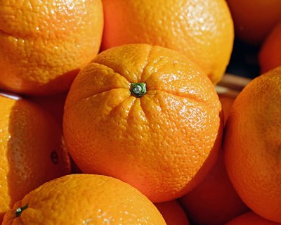 Exportação de laranja para a Colombia - Campanha 2020/2021
