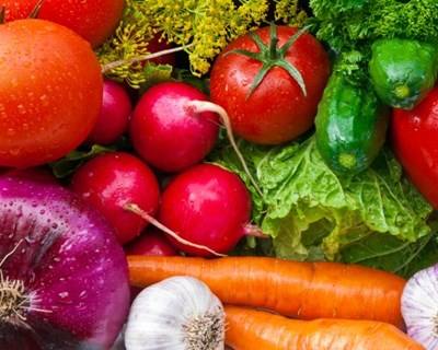 Exportação espanhola de frutas e hortícolas para a UE aumentou 12%