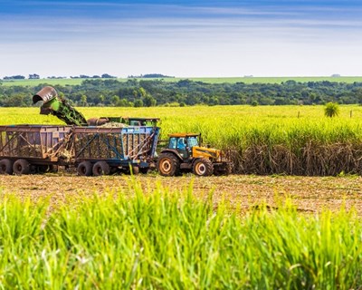 Exportações agrícolas "menos animadoras" até março