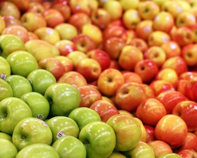 Exportações de frutas, legumes e flores crescem 13,4% no primeiro semestre