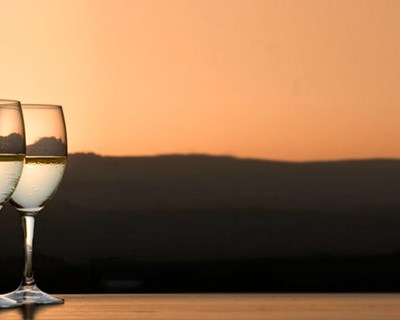 Exportações de vinhos portugueses para os EUA aumentam 19,5%