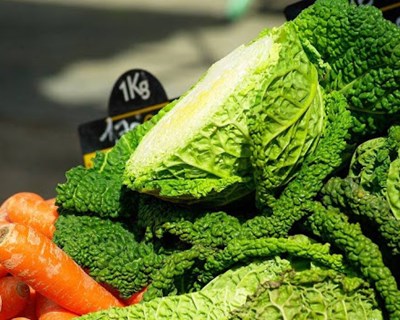 Exportações do setor agroalimentar a crescer