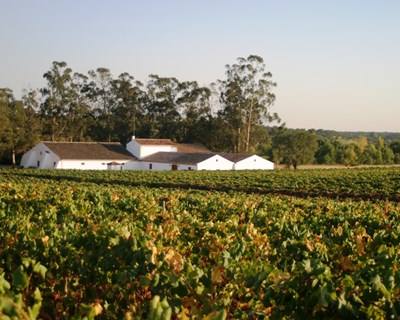 Expovinis: vinho alentejano premiado em São Paulo