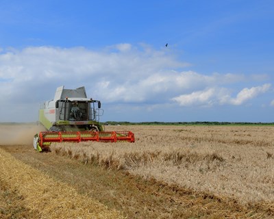 FAABA dirige carta à Ministra da Agricultura