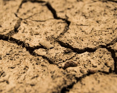 FAABA envia carta à Ministra da Agricultura