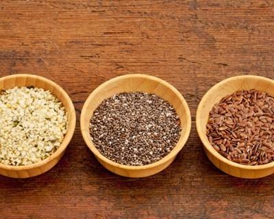 FAO alerta para sementes geneticamente modificadas não incluídas na classe OGM