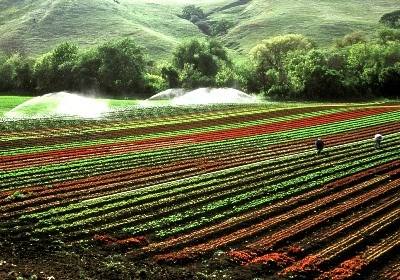 FAO cria portal que ajuda a gerir a água