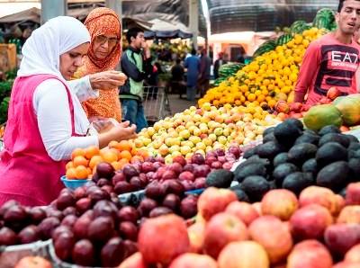 FAO debate biotecnologias agrícolas nos sistemas alimentares sustentáveis