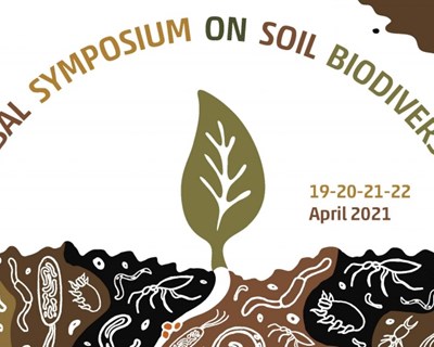 FAO promove Simpósio Global sobre Biodiversidade do Solo