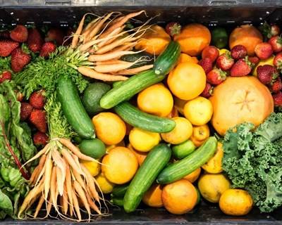 FAO publica relatório sobre alterações climáticas, agricultura e segurança alimentar