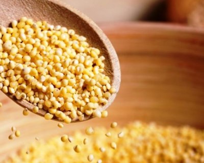 Fátima debate em abril a temática das “Fontes de Proteína”