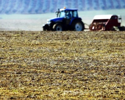 Federação Agrícolas dos Açores envia carta ao primeiro-ministro a apelar à manutenção do orçamento POSEI Pós 2020