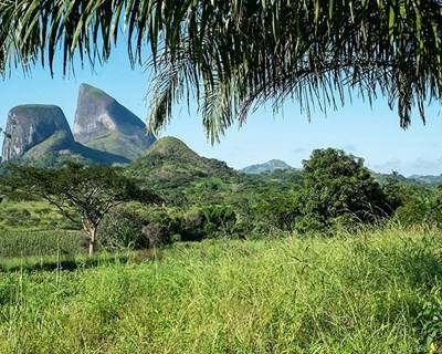 Feira Internacional de Agropecuária e Pescas do Cuanza Sul chega em setembro