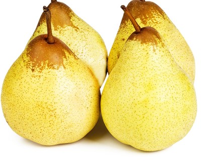 Feira Nacional de Hortofruticultura premeia agroalimentar