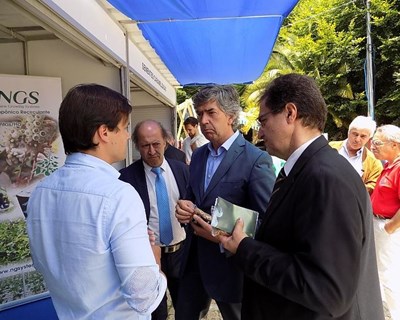 Feira Nacional do Mirtilo é exemplo para o turismo e a agricultura