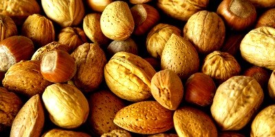 Ferreira do Alentejo recebe em junho Simpósio Nacional de Frutos Secos