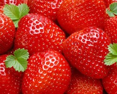 Festa do Morango 2015 regressa a Azeitão