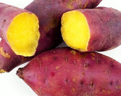 Festival da Batata-Doce regressa a Aljezur