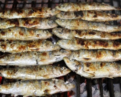 Festival da Sardinha regressa a Portimão