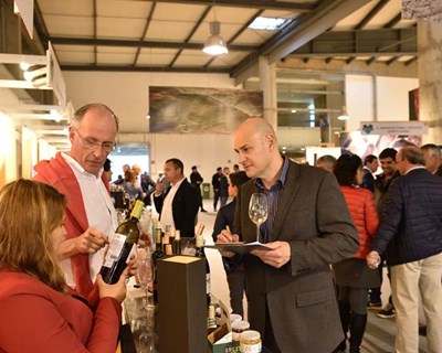 Festival do Vinho do Douro Superior em Vila Nova de Foz Côa