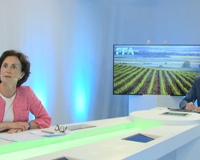 FFA realiza webinar para discutir a resiliência do sistema alimentar, a sustentabilidade e a pandemia da Covid-19
