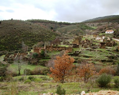 Figueira de Castelo Rodrigo cria regulamento para apoiar agricultura