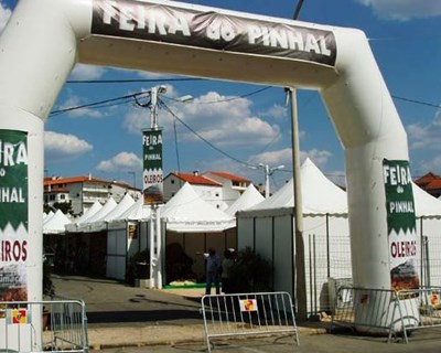 Fileira florestal dá o mote à Feira do Pinhal 2015