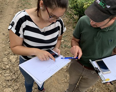 FITOAGRO – Pataforma de informação para apoio na proteção de pomóideas