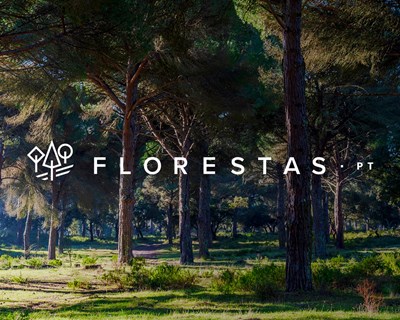 Florestas.pt disponibiliza Newsletter Florestas n.º 2 de agosto