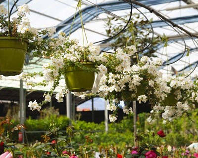 Flower&Garden Attraction em Madrid