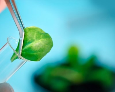 Food & Nutrition Awards atinge as 81 candidaturas