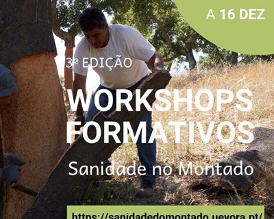 Formação dedicada ao papel das aves e às práticas para gestão sustentável do montado