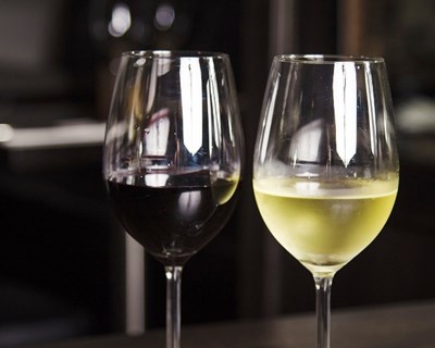 Fórum Vinhos de Portugal reúne setor e reflete sobre estratégias para o futuro