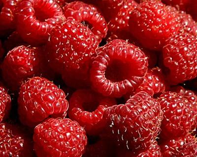 Framboesa. O fruto que faz de Portugal a Califórnia da Europa