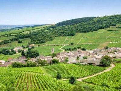 França mantém-se como «potência» agrícola da UE