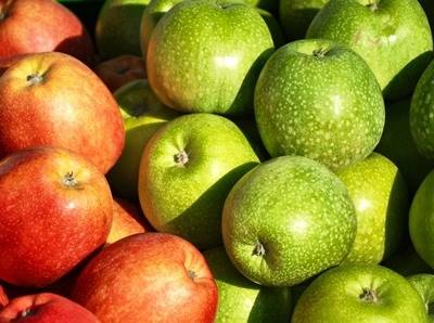 França: nova lei proíbe que supermercados deitem fora alimentos