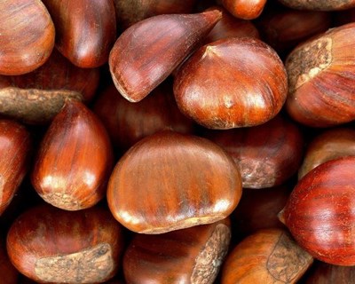 Frio de junho e julho condicionou produção de castanha em Sernancelhe