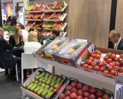 Fruit Attraction 2025 cresce 5% e espera reunir mais de 2.500 empresas e 120 mil profissionais
