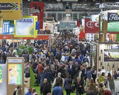 Fruit Attraction apoia lançamento da Fresh Food Logistics